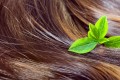 Co to jest olejowanie włosów?